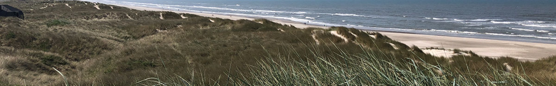 Danhostel Henne Strand