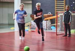 Danhostel Vejen Sport