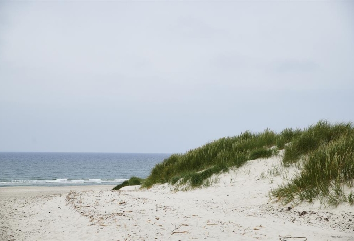 Danhostel Henne Strand grupper